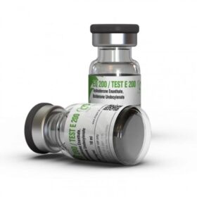 Dragon Pharma EQ 200/Test E 200